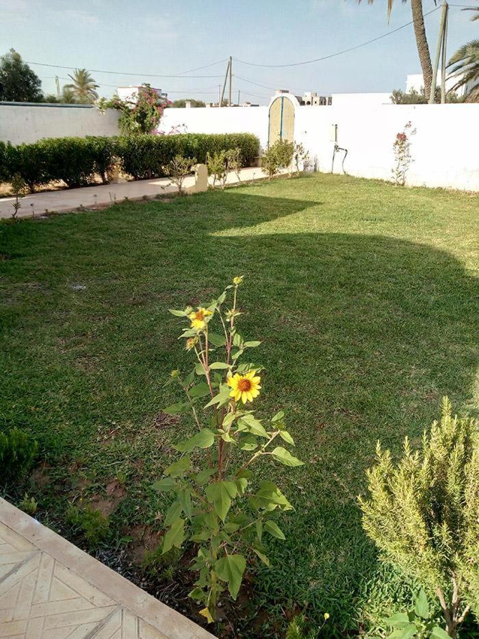 Villa With Swimming Pool In Djerba Midoun Al Maqarisah